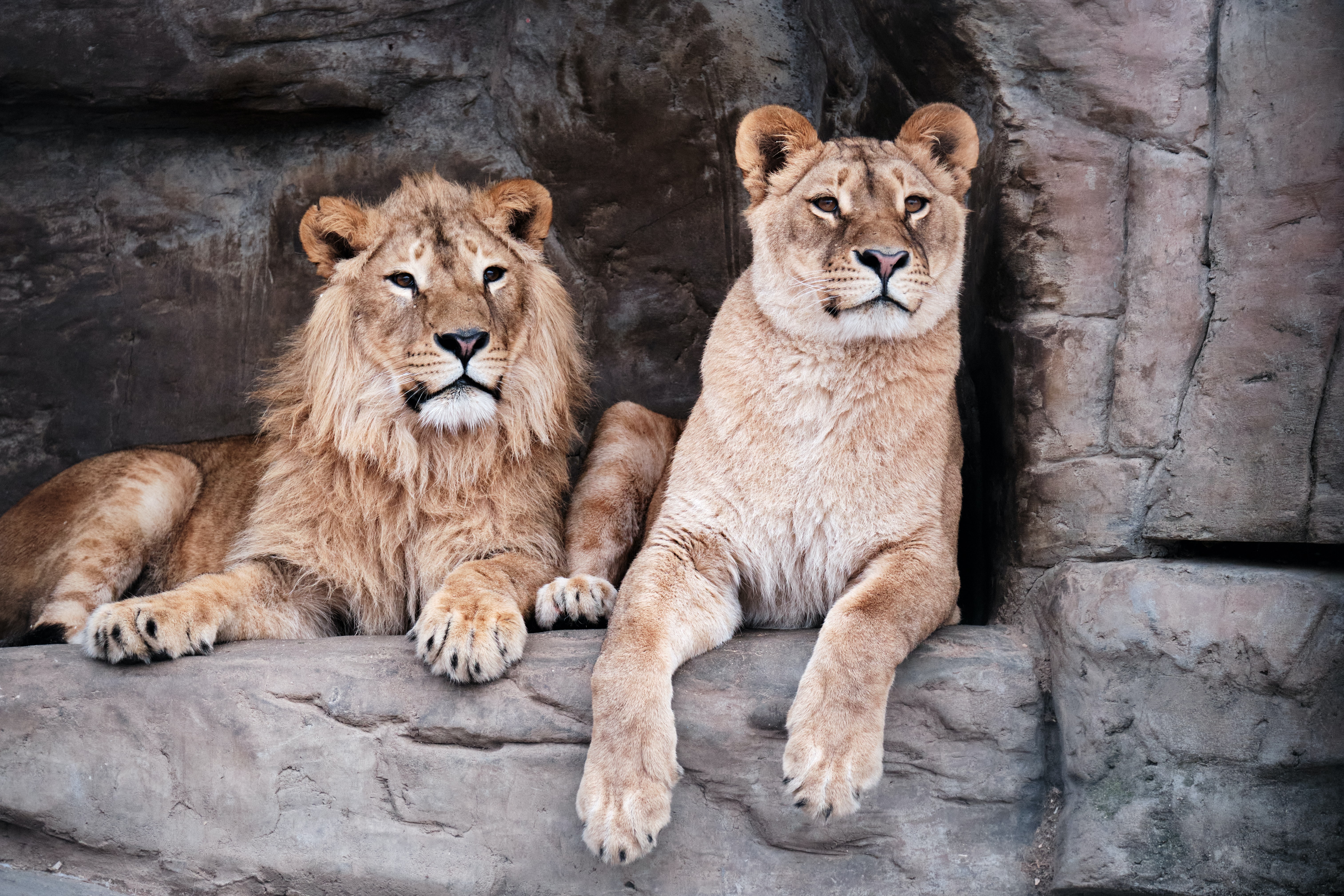 Local Loves: Canberra's National Zoo and Aquarium